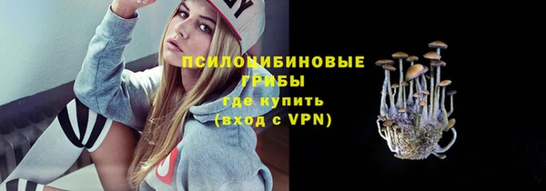 гидропоника Богородицк